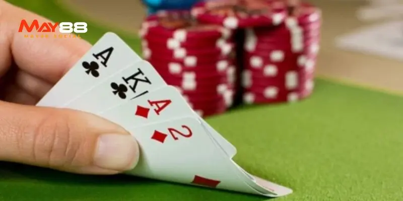 Bài Catte - Hướng Dẫn Chi Tiết Cách Chơi và Mẹo Chiến Thắng Bài Catte là gì