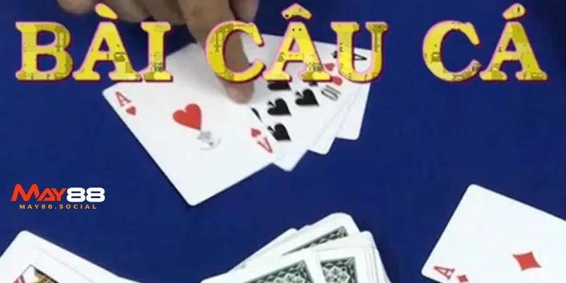 Bài Câu Cá Là Gì Và Luật Chơi Game Đúng Chuẩn, Bí Kíp Thắng Quy tắc chơi bài câu cá dành cho 2 người đúng chuẩn