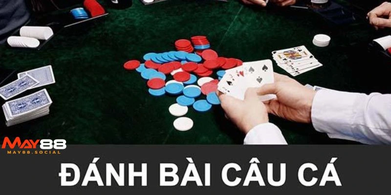 Bài Câu Cá Là Gì Và Luật Chơi Game Đúng Chuẩn, Bí Kíp Thắng Mẹo chơi bài câu cá