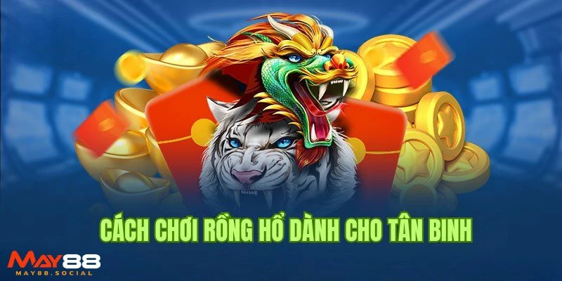 Mẹo Chơi Rồng Hổ Online Bách Chiến Bách Thắng Cho Bet Thủ Mẹo chơi rồng hổ bách phát bách trúng lên đến 90%